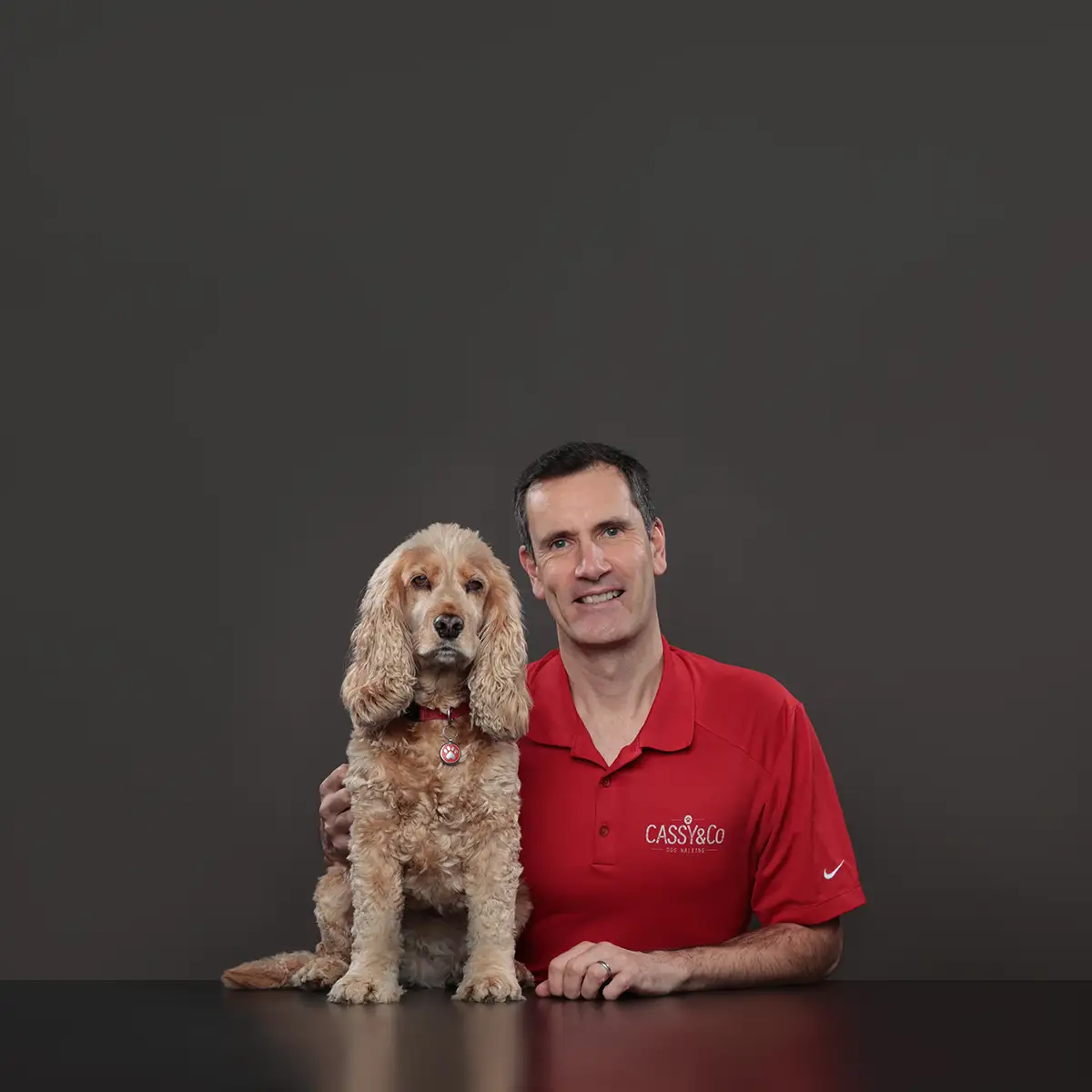 cassyco home page hero