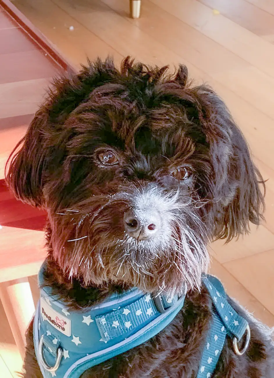 Julie and Tim, Coll’s people